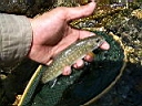 2007-05-22 002.JPG